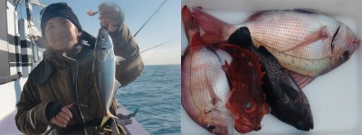 プロショップオオツカ バスフィッシング用品ネット通信販売 ブログ写真 2011/01/03