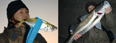 プロショップオオツカ バスフィッシング用品ネット通信販売 ブログ写真 2011/01/03