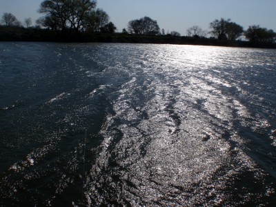 プロショップオオツカ バスフィッシング用品ネット通信販売 ブログ写真 2011/04/13