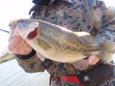 プロショップオオツカ バスフィッシング用品ネット通信販売 ブログ写真 2011/04/13