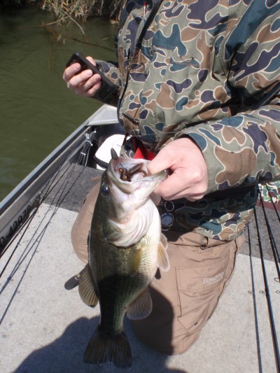 プロショップオオツカ バスフィッシング用品ネット通信販売 ブログ写真 2011/04/13