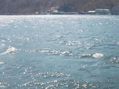 プロショップオオツカ バスフィッシング用品ネット通信販売 ブログ写真 2011/04/15