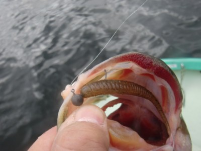 プロショップオオツカ バスフィッシング用品ネット通信販売 ブログ写真 2011/04/24