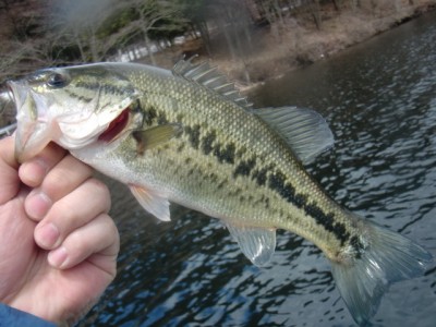 プロショップオオツカ バスフィッシング用品ネット通信販売 ブログ写真 2011/04/24