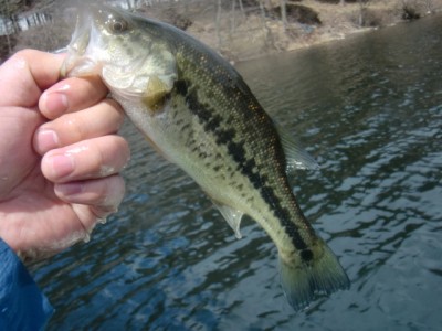 プロショップオオツカ バスフィッシング用品ネット通信販売 ブログ写真 2011/04/24