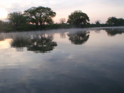 プロショップオオツカ バスフィッシング用品ネット通信販売 ブログ写真 2011/04/27