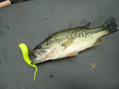 プロショップオオツカ バスフィッシング用品ネット通信販売 ブログ写真 2011/06/15