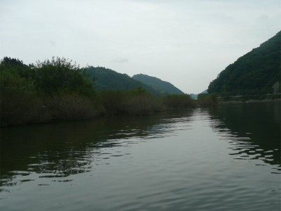 プロショップオオツカ バスフィッシング用品ネット通信販売 ブログ写真 2011/06/15