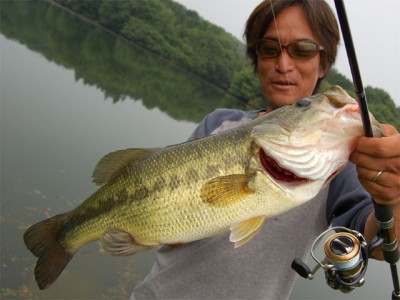 プロショップオオツカ バスフィッシング用品ネット通信販売 ブログ写真 2011/06/15