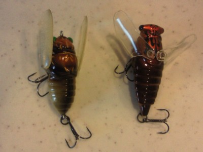 プロショップオオツカ バスフィッシング用品ネット通信販売 ブログ写真 2011/06/17