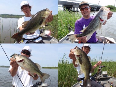 プロショップオオツカ バスフィッシング用品ネット通信販売 ブログ写真 2011/06/24