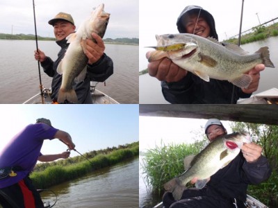 プロショップオオツカ バスフィッシング用品ネット通信販売 ブログ写真 2011/06/24