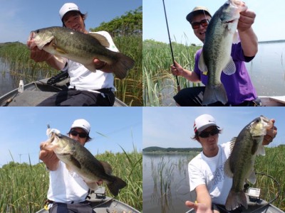 プロショップオオツカ バスフィッシング用品ネット通信販売 ブログ写真 2011/06/24