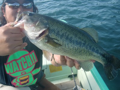 プロショップオオツカ バスフィッシング用品ネット通信販売 ブログ写真 2011/07/06