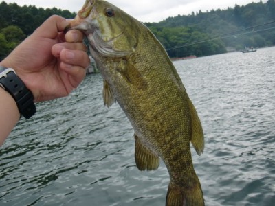 プロショップオオツカ バスフィッシング用品ネット通信販売 ブログ写真 2011/07/10