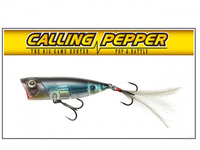 プロショップオオツカ バスフィッシング用品ネット通信販売 ブログ写真 2011/07/30