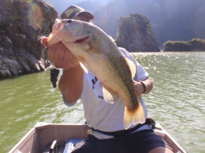 プロショップオオツカ バスフィッシング用品ネット通信販売 ブログ写真 2011/09/16