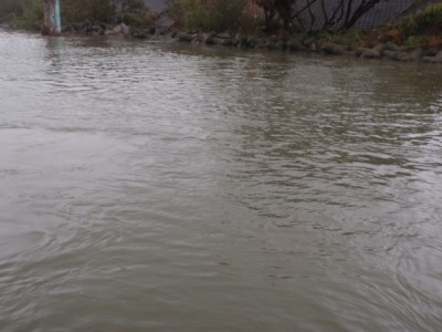 プロショップオオツカ バスフィッシング用品ネット通信販売 ブログ写真 2011/09/21