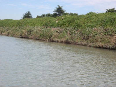 プロショップオオツカ バスフィッシング用品ネット通信販売 ブログ写真 2011/09/28