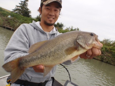 プロショップオオツカ バスフィッシング用品ネット通信販売 ブログ写真 2011/09/28