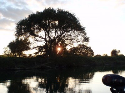 プロショップオオツカ バスフィッシング用品ネット通信販売 ブログ写真 2011/10/05