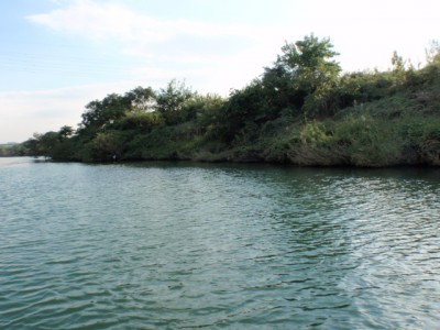 プロショップオオツカ バスフィッシング用品ネット通信販売 ブログ写真 2011/10/05