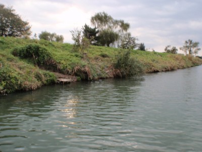 プロショップオオツカ バスフィッシング用品ネット通信販売 ブログ写真 2011/10/19