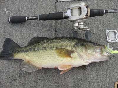 プロショップオオツカ バスフィッシング用品ネット通信販売 ブログ写真 2011/11/03