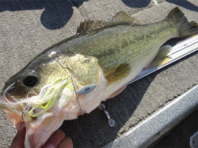 プロショップオオツカ バスフィッシング用品ネット通信販売 ブログ写真 2011/11/03