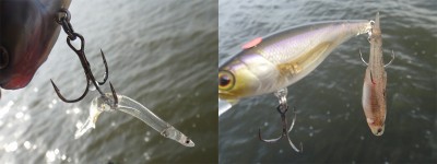 プロショップオオツカ バスフィッシング用品ネット通信販売 ブログ写真 2011/11/03