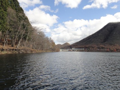 プロショップオオツカ バスフィッシング用品ネット通信販売 ブログ写真 2011/11/16