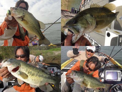 プロショップオオツカ バスフィッシング用品ネット通信販売 ブログ写真 2011/11/16