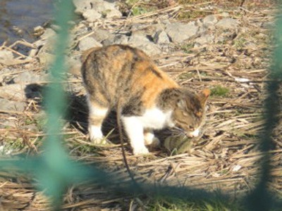 プロショップオオツカ バスフィッシング用品ネット通信販売 ブログ写真 2011/12/23