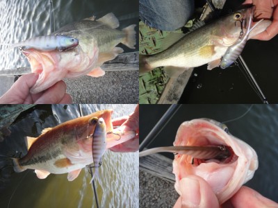 プロショップオオツカ バスフィッシング用品ネット通信販売 ブログ写真 2011/12/28