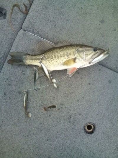 プロショップオオツカ バスフィッシング用品ネット通信販売 ブログ写真 2012/01/04