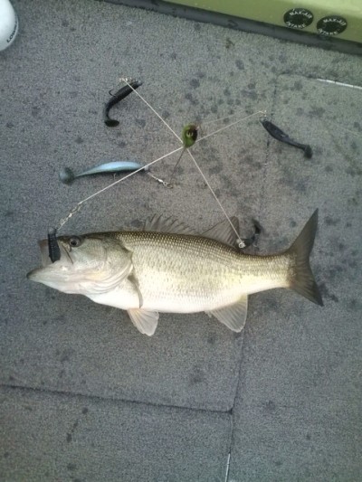 プロショップオオツカ バスフィッシング用品ネット通信販売 ブログ写真 2012/01/04