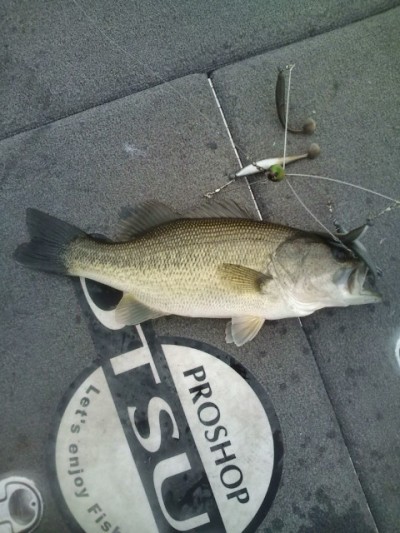 プロショップオオツカ バスフィッシング用品ネット通信販売 ブログ写真 2012/01/04