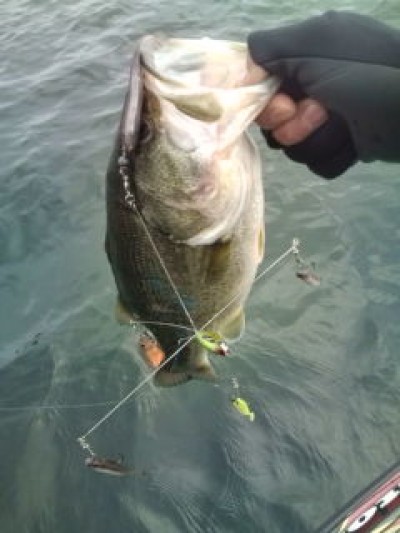 プロショップオオツカ バスフィッシング用品ネット通信販売 ブログ写真 2012/01/04