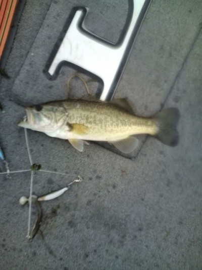 プロショップオオツカ バスフィッシング用品ネット通信販売 ブログ写真 2012/01/04