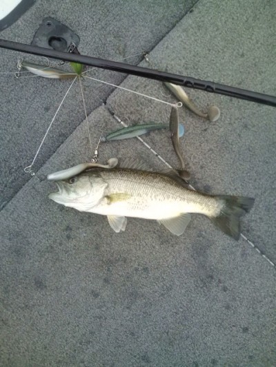 プロショップオオツカ バスフィッシング用品ネット通信販売 ブログ写真 2012/01/04