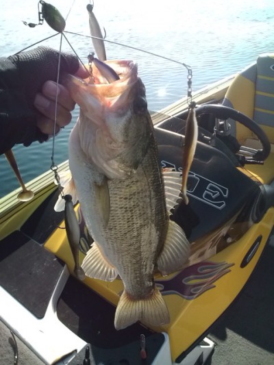 プロショップオオツカ バスフィッシング用品ネット通信販売 ブログ写真 2012/01/04