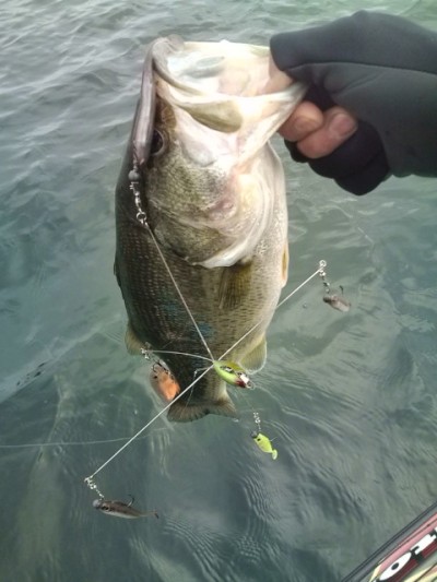 プロショップオオツカ バスフィッシング用品ネット通信販売 ブログ写真 2012/01/04