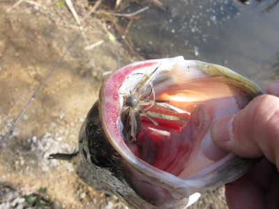 プロショップオオツカ バスフィッシング用品ネット通信販売 ブログ写真 2012/03/01