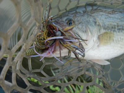 プロショップオオツカ バスフィッシング用品ネット通信販売 ブログ写真 2012/03/08