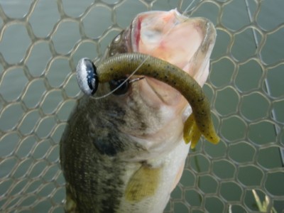 プロショップオオツカ バスフィッシング用品ネット通信販売 ブログ写真 2012/03/08