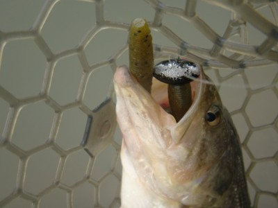 プロショップオオツカ バスフィッシング用品ネット通信販売 ブログ写真 2012/03/08