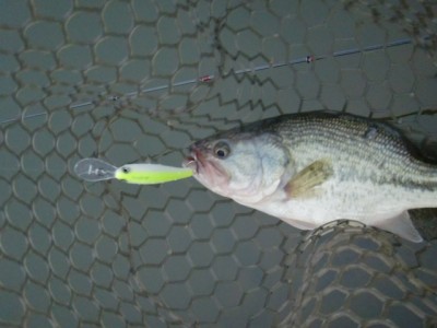 プロショップオオツカ バスフィッシング用品ネット通信販売 ブログ写真 2012/03/08