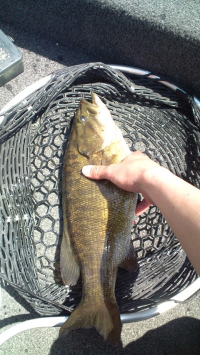 プロショップオオツカ バスフィッシング用品ネット通信販売 ブログ写真 2012/05/14