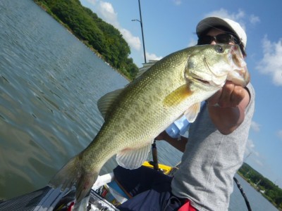 プロショップオオツカ バスフィッシング用品ネット通信販売 ブログ写真 2012/08/05