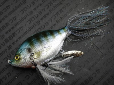 プロショップオオツカ バスフィッシング用品ネット通信販売 ブログ写真 2012/08/31